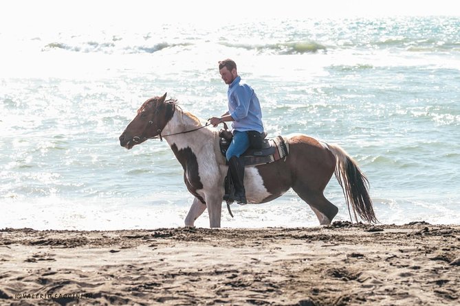 Rome: Horseback Riding on the Beach with aperitif - Through the Pinewood and Roman Ruins