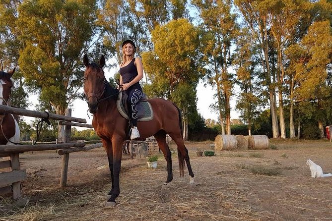 Rome : Horseback Riding with meals and wine included - Who will enjoy this most