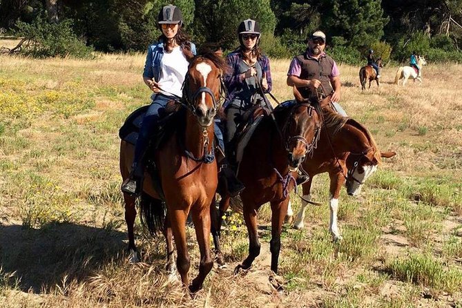 Rome : Horseback Riding with meals and wine included - Timing problems to prevent before you go