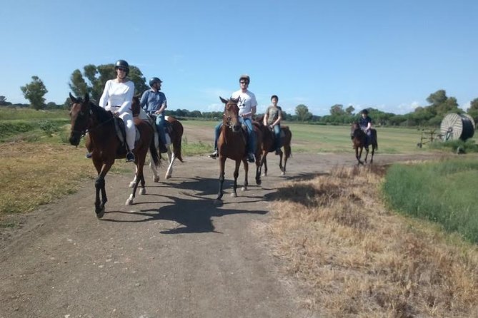 Rome : Horseback Riding with meals and wine included - Grooming and feeding the horses before the ride