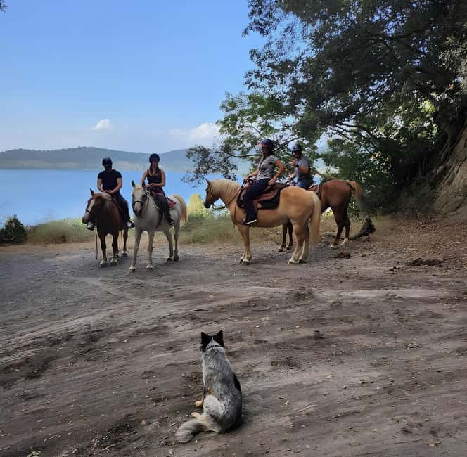Rome: Lake Martignano Horseback Ride with Guide - Along wooded paths and gentle hills