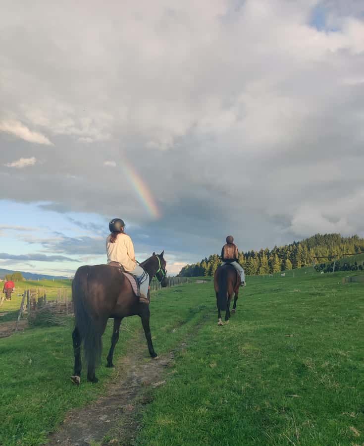 Rotorua: Scenic Horse Trek - Key points to know before you book