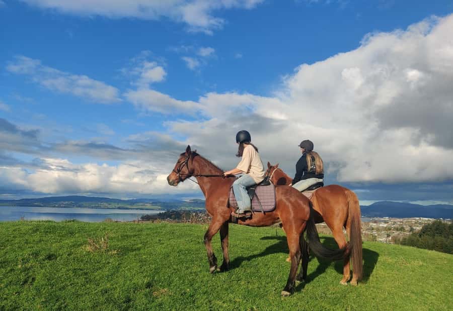 Rotorua: Scenic Horse Trek - Riding out from Adventure Playground