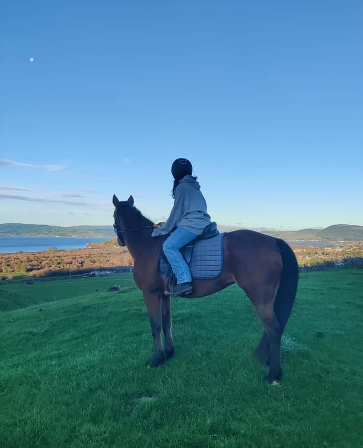 Rotorua: Scenic Horse Trek - The Lake Rotorua viewpoints