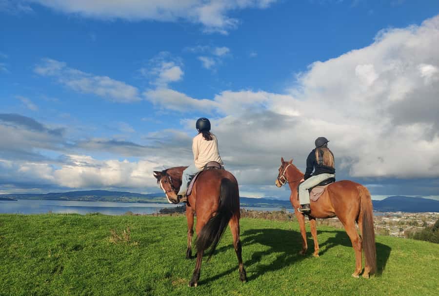 Rotorua: Scenic Horse Trek - Rolling farmland near Mt Ngongotaha