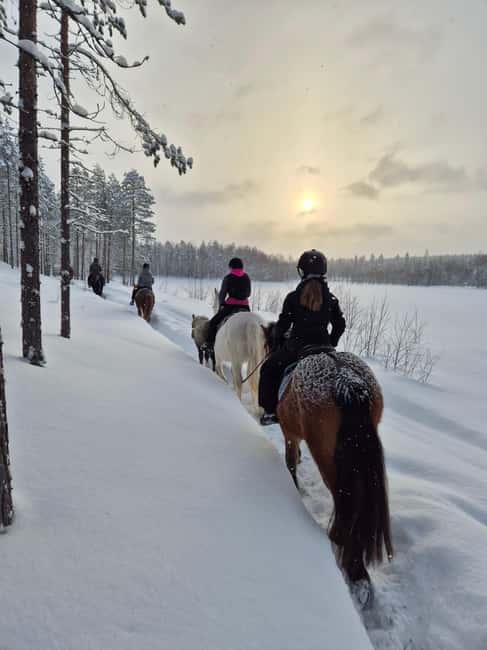 Rovaniemi: Winter Horseback Ride on Snowy Hills and Forests - Key points to know before booking