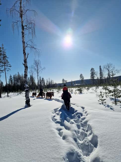 Rovaniemi: Winter Horseback Ride on Snowy Hills and Forests - Leaving Rovaniemi for Ranch Kuulas