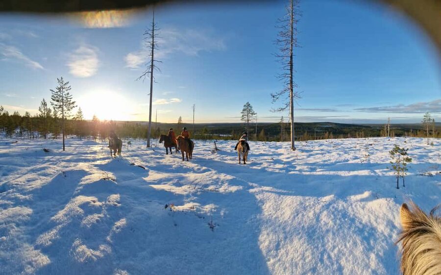 Rovaniemi: Winter Horseback Ride on Snowy Hills and Forests - Following the snowy forest trail