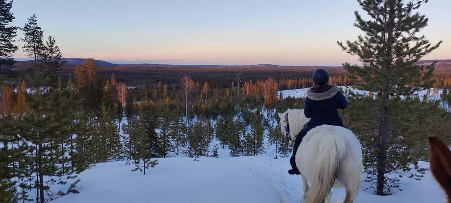 Rovaniemi: Winter Horseback Ride on Snowy Hills and Forests - A farm visit with more than horses