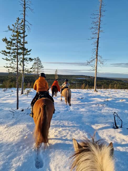 Rovaniemi: Winter Horseback Ride on Snowy Hills and Forests - Meeting the horses and getting your bearings