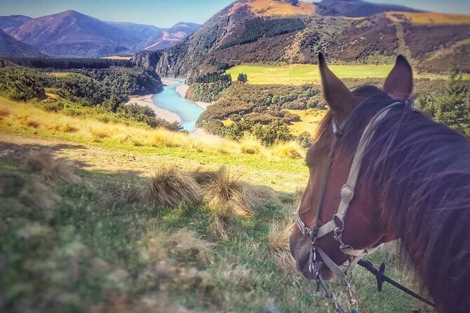 Rubicon Valley Horse Treks - 2 Hour River Trail Horse Trek - How beginners and experienced riders fit together