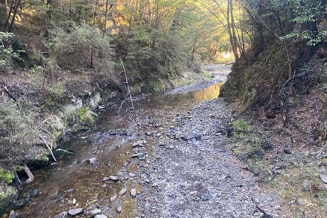Rubicon Valley Horse Treks - 2 Hour River Trail Horse Trek - Who should book the Rubicon Valley trek?