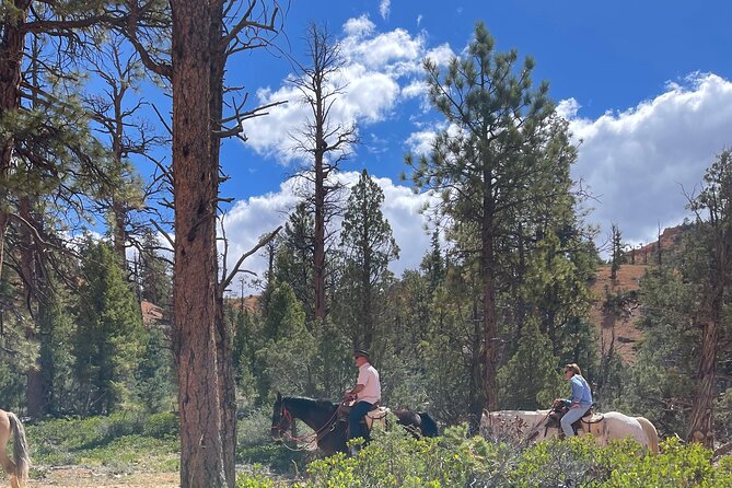 Ruby's Horseback Adventures All Day Ride - Riding ability matters more than the scenery