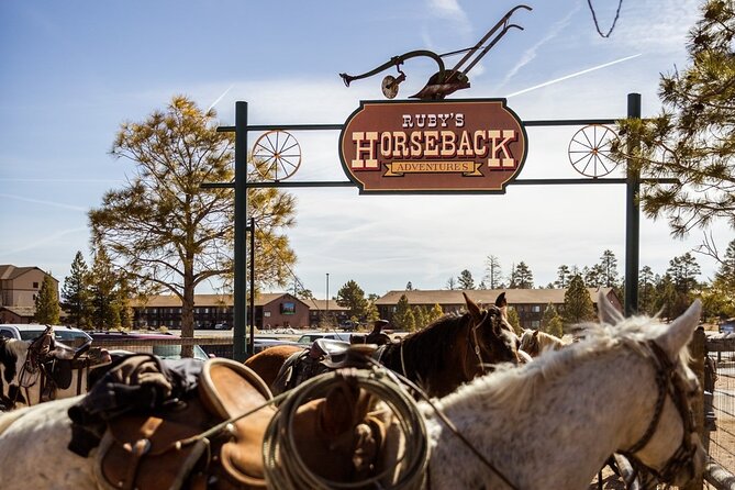 Ruby's Horseback Adventures Utah 1.5 Hour Ride - Through the pine forest to the canyon rim