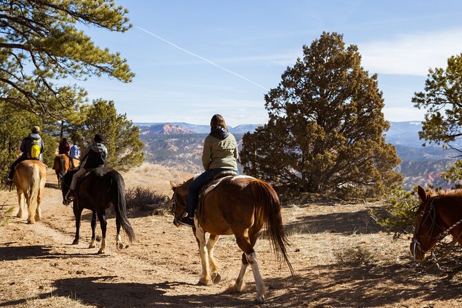 Ruby's Horseback Adventures Utah 1.5 Hour Ride - What the horses and guides add to the experience