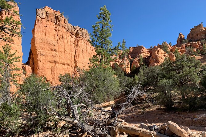 Ruby's Horseback Adventures Utah Half Day Ride - Quick takeaways from the trail