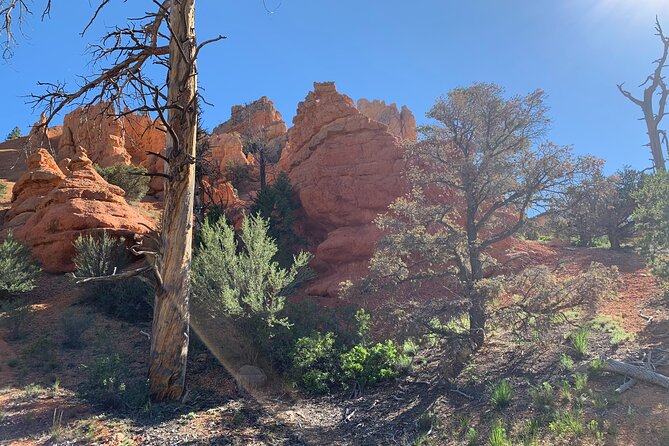 Ruby's Horseback Adventures Utah Half Day Ride - Red Canyon gives you a different view