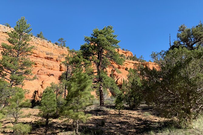 Ruby's Horseback Adventures Utah Half Day Ride - Horses, guides, and the human side of the ride