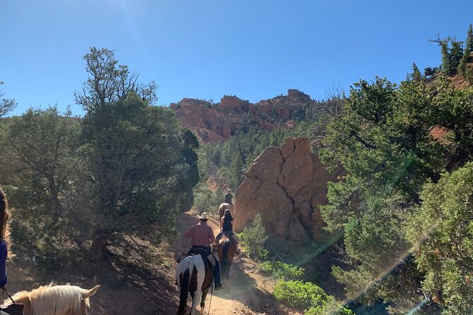 Ruby's Horseback Adventures Utah Half Day Ride - Is it really suitable for beginners?