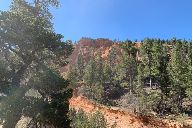 Ruby's Horseback Adventures Utah Half Day Ride - What $130 buys you