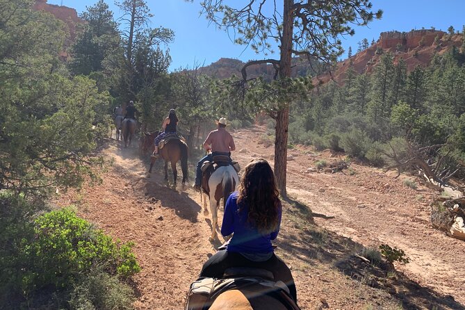Ruby's Horseback Adventures Utah Half Day Ride - Age, weight, group size, and weather rules