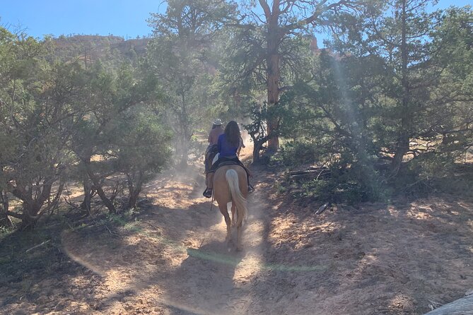 Ruby's Horseback Adventures Utah Half Day Ride - The route, from meeting point to canyon trail