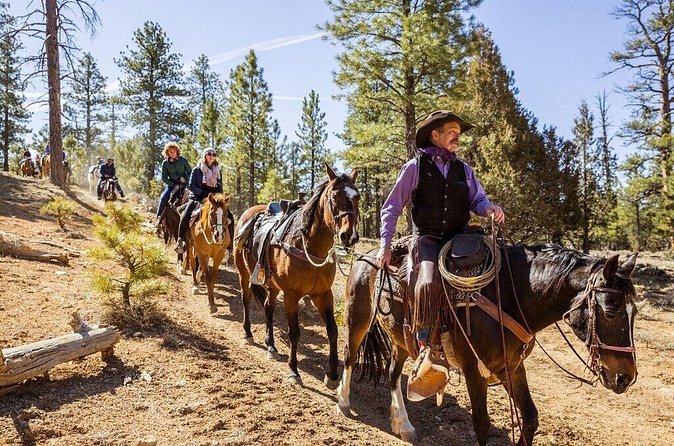 Ruby's Horseback Adventures Utah Thunder Mt. 4 Hour Ride - The horses and the people guiding them