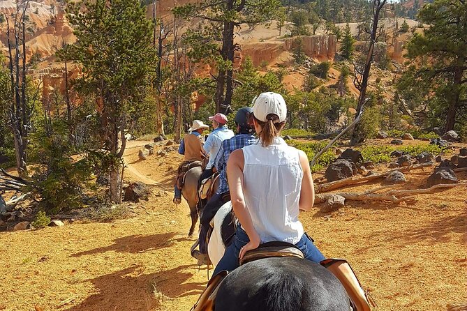 Ruby's Horseback Adventures Utah Thunder Mt. 4 Hour Ride - Four hours in the saddle, and what to bring