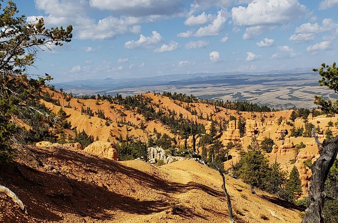 Ruby's Horseback Adventures Utah Thunder Mt. 4 Hour Ride - Price and value at $150 per person