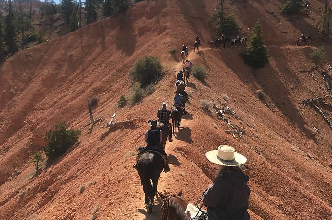 Ruby's Horseback Adventures Utah Thunder Mt. 4 Hour Ride - Who should book this ride?
