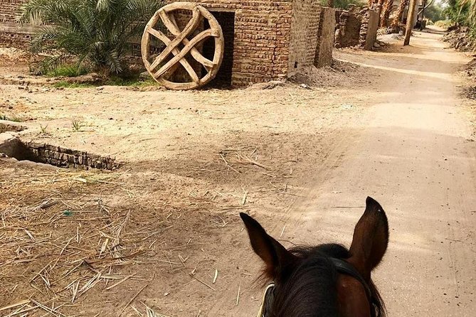 Rural Horse Riding Adventure - Key Points at a Glance