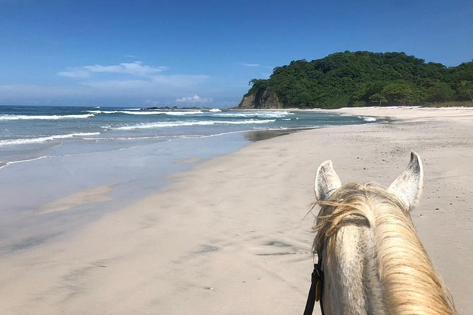 Safari & Barigona Beach on horseback - Key points to know before you ride