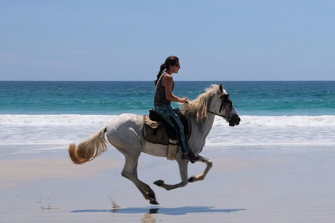 Safari & Barigona Beach on horseback - Riding from Sámara into Guanacaste country