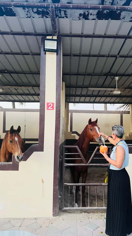 Salalah: Horse Riding by the Beach - Riding beside Salalah’s Arabian Sea coast