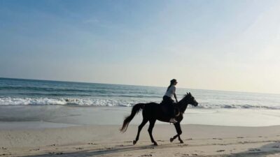 Salalah: Horse Riding by the Beach
