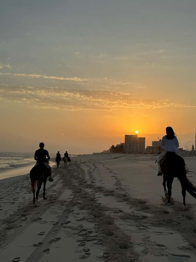 Salalah: Horse Riding by the Beach - Is $108 per person a fair price?