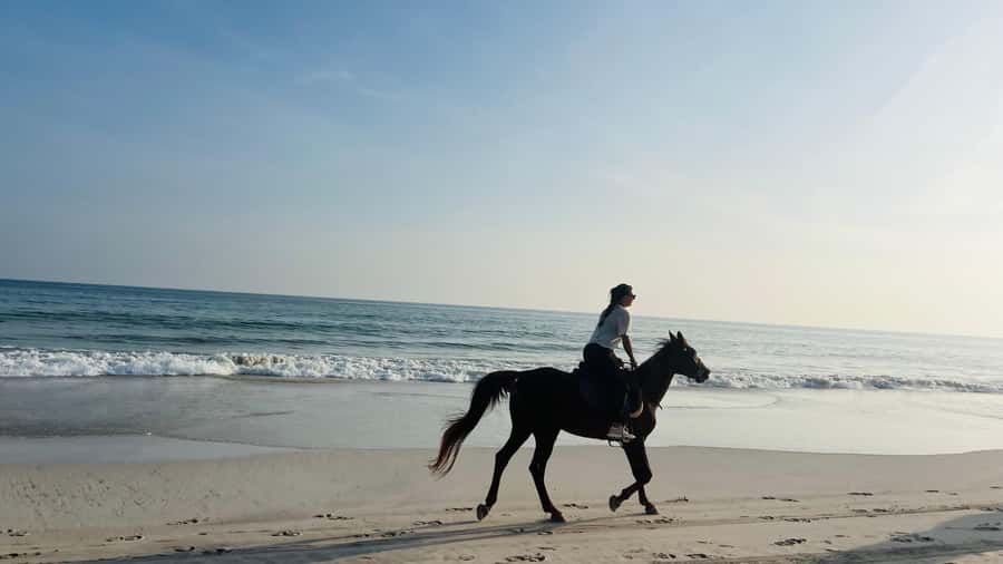 Salalah: Horse Riding by the Beach - What happens from hotel pickup to the shore