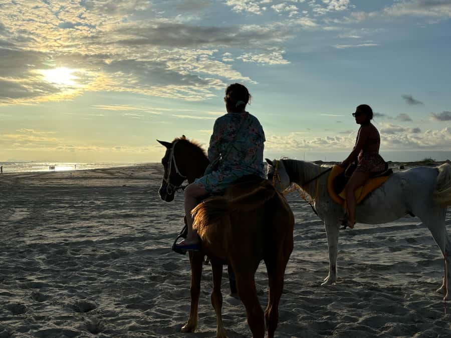 Salalah Horse Riding on the Beach optional Hotel Pick & Drop - Key details before you book