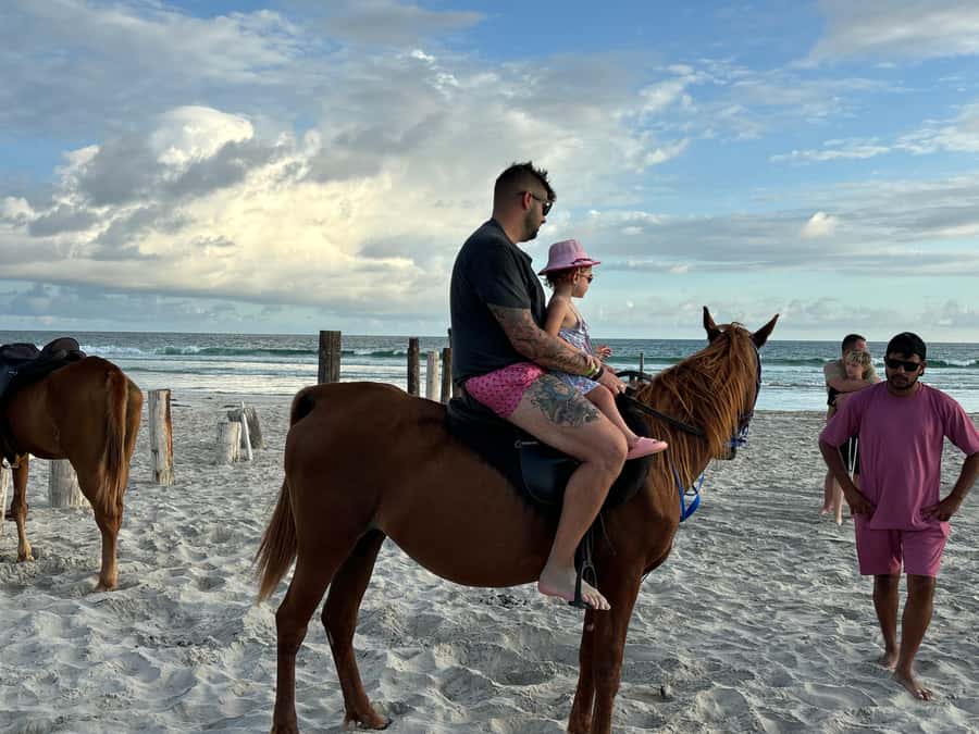 Salalah Horse Riding on the Beach optional Hotel Pick & Drop - Why the sunset is the real centerpiece