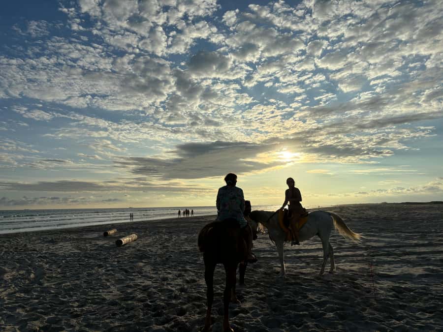 Salalah Horse Riding on the Beach optional Hotel Pick & Drop - What the guide adds to the experience