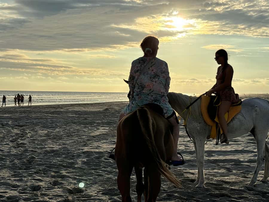Salalah Horse Riding on the Beach optional Hotel Pick & Drop - Is $36 a fair price?