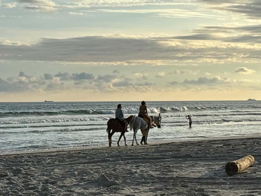 Salalah Horse Riding on the Beach optional Hotel Pick & Drop - Getting to the beach club meeting point
