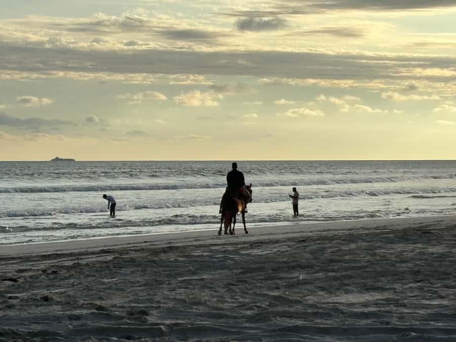 Salalah Horse Riding on the Beach optional Hotel Pick & Drop - What is included and what is not