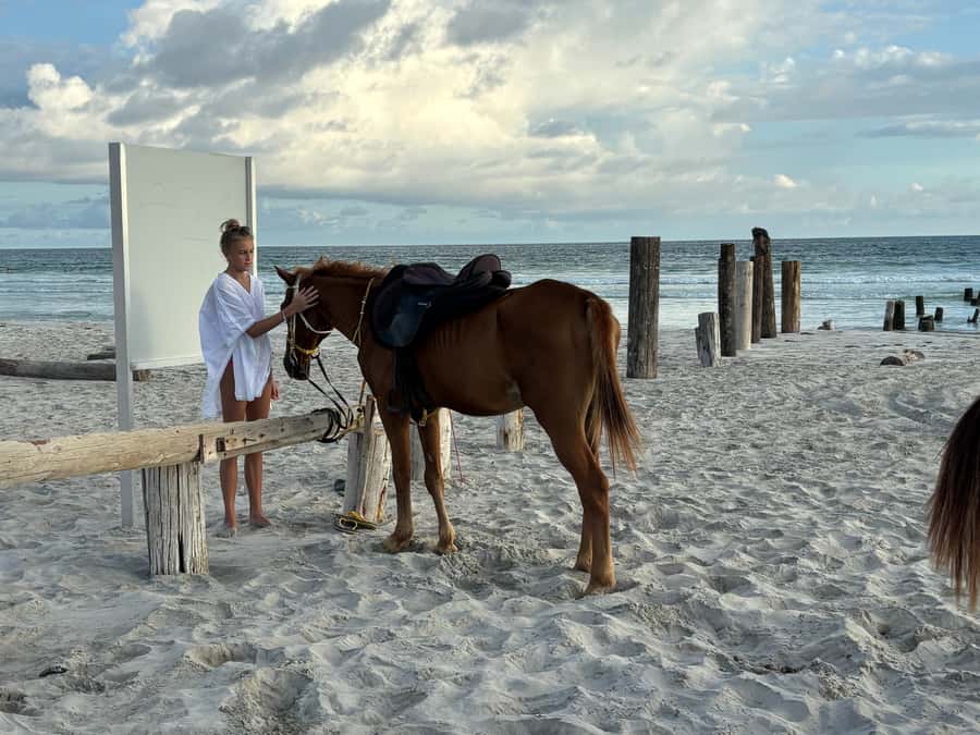 Salalah Horse Riding on the Beach optional Hotel Pick & Drop - Choosing 30 minutes or one hour