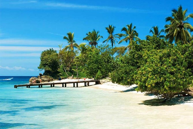 Samana + Cayo Levantado + Horseback Riding from Punta Cana with Lunch - Horseback riding through coffee and cocoa country