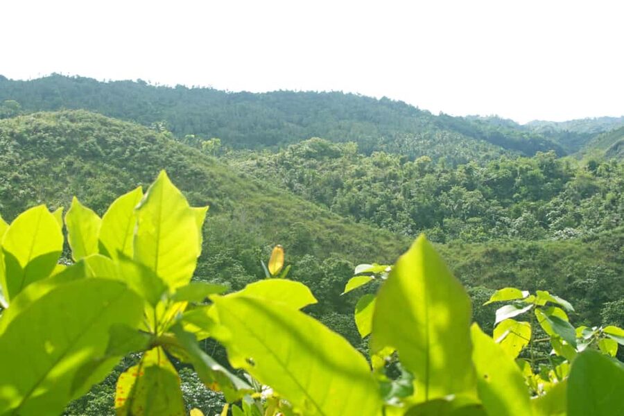 Samaná: El Limón Waterfall Horseback Riding Tour - What to pack for El Limón