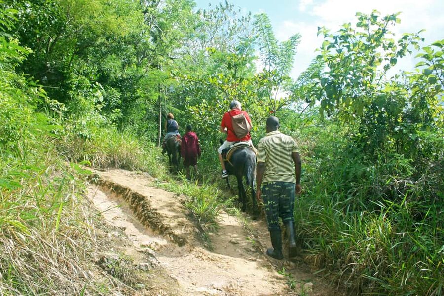 Samaná: El Limón Waterfall Horseback Riding Tour - Lunch, souvenirs, and the return route