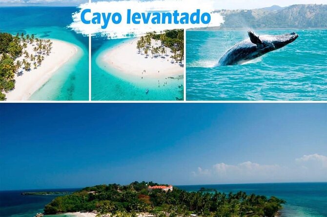 Samana Full Day -baracardi island, horses, lemon waterfall - The Early Start From Punta Cana