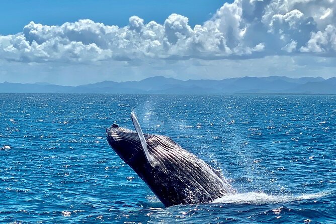 Samana Full Day -baracardi island, horses, lemon waterfall - Crossing Samaná Bay by Boat