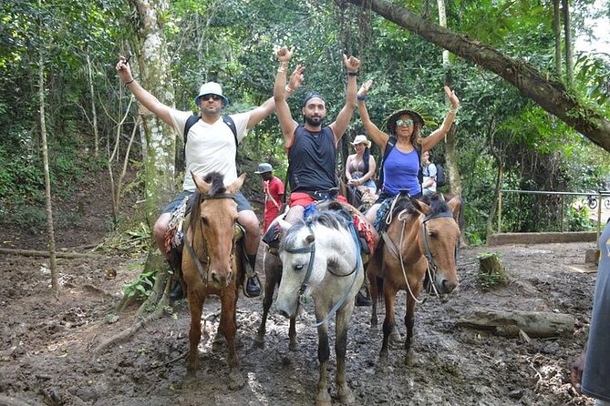 Samana - Key Levantado - Limon Waterfall - Horseback Riding - Rancho Típico and the Dominican barbecue